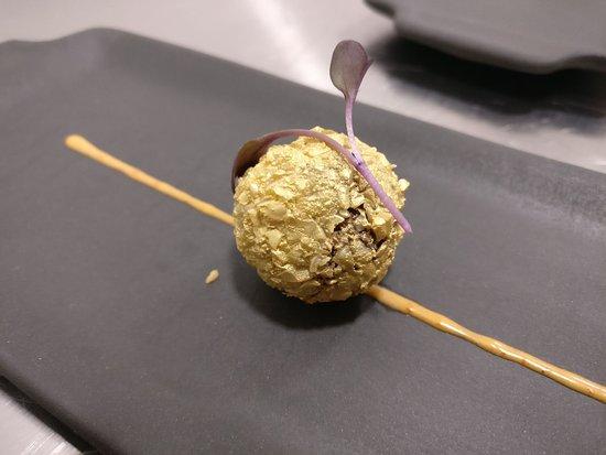 El Papagayo Del Carmen